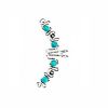 Aciano Ear Cuff Wraps - Single or Bundle