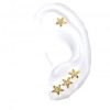 Cartilage Piercing Earrings Starfish