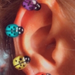 Colorful Ladybug Ear Clips Handmade in USA by Earlums